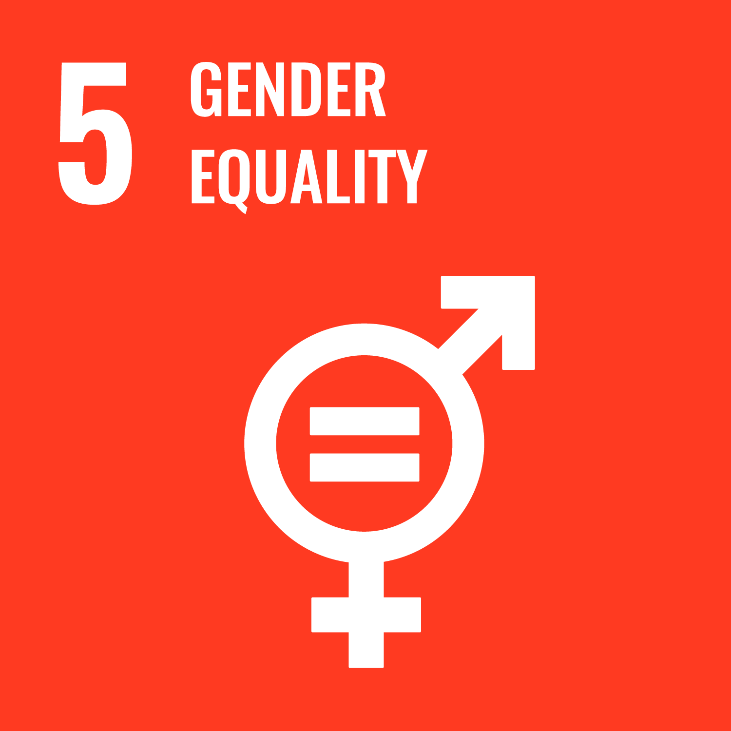 SDG goals icon 5