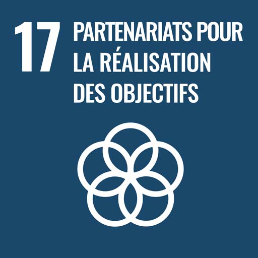 SDG 17 - Partnership for the goals
