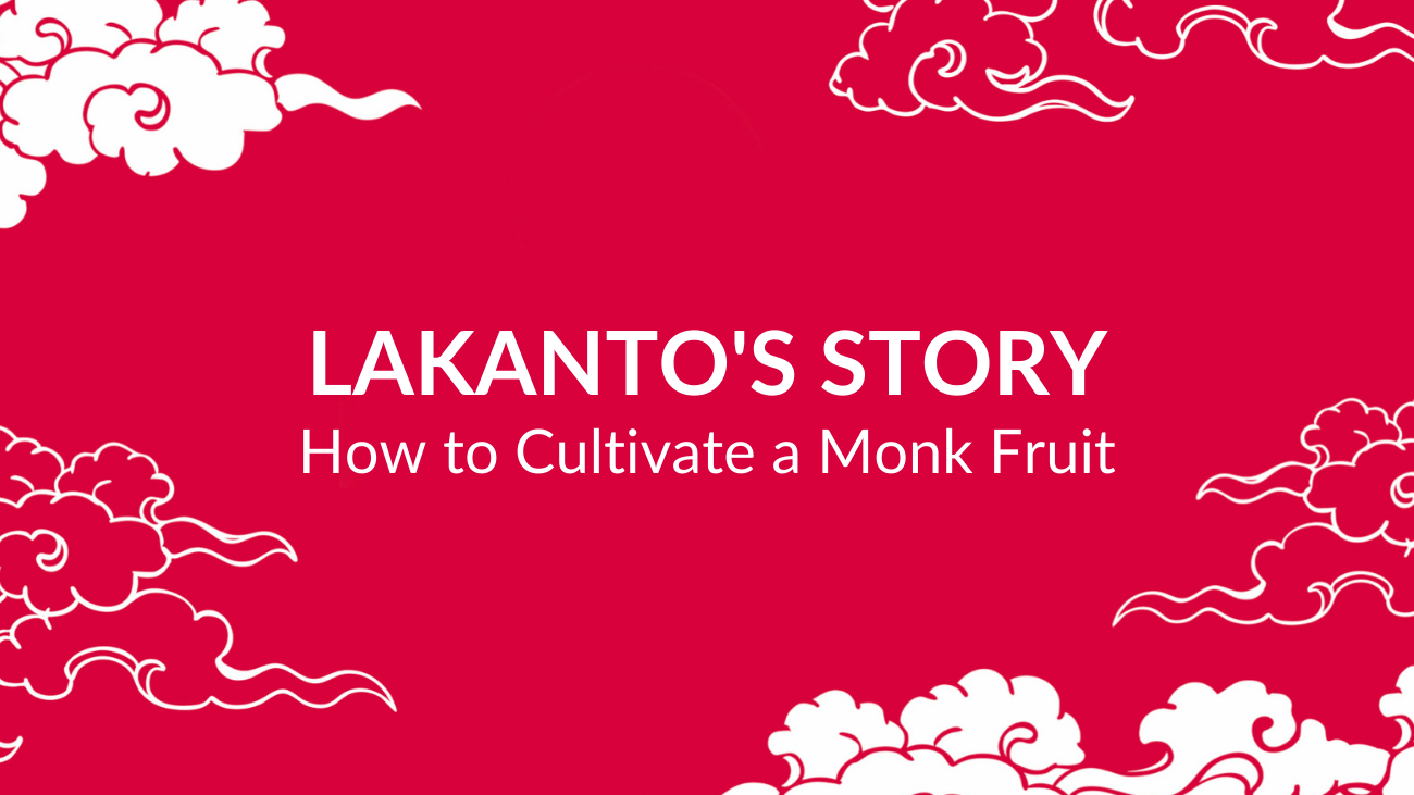 Third Chapter of Lakanto's story explaining how Monk Fruit is cultivated for best results.