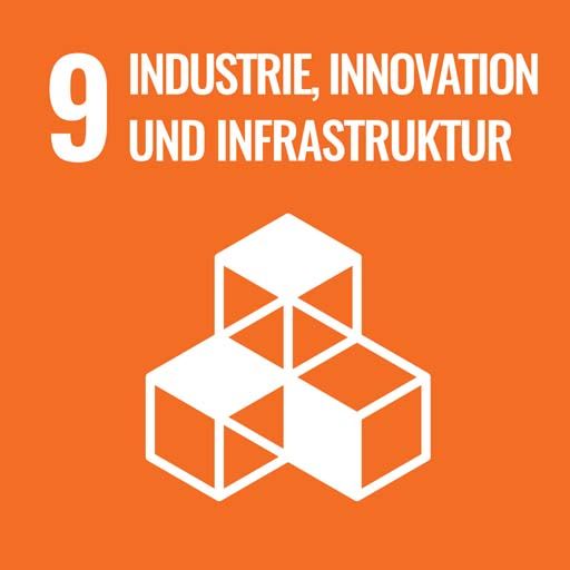 SDG 9 - Industry, Innovation and Infrastructure