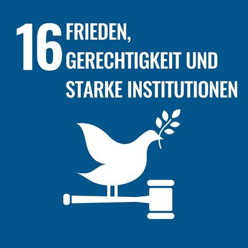 SDG 16 - Peace, Justice and Strong Institutions