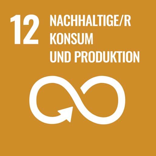 SDG 12 - Responsible Consumption and Production